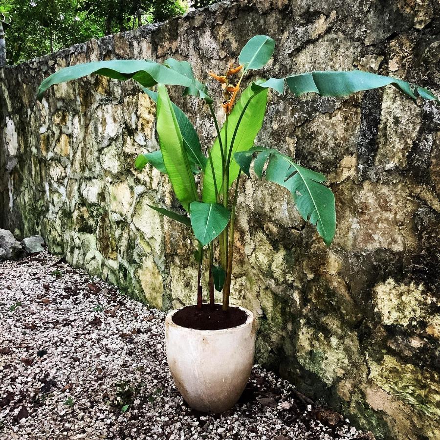 Escarabajo Rojo Panzió Tulum Kültér fotó