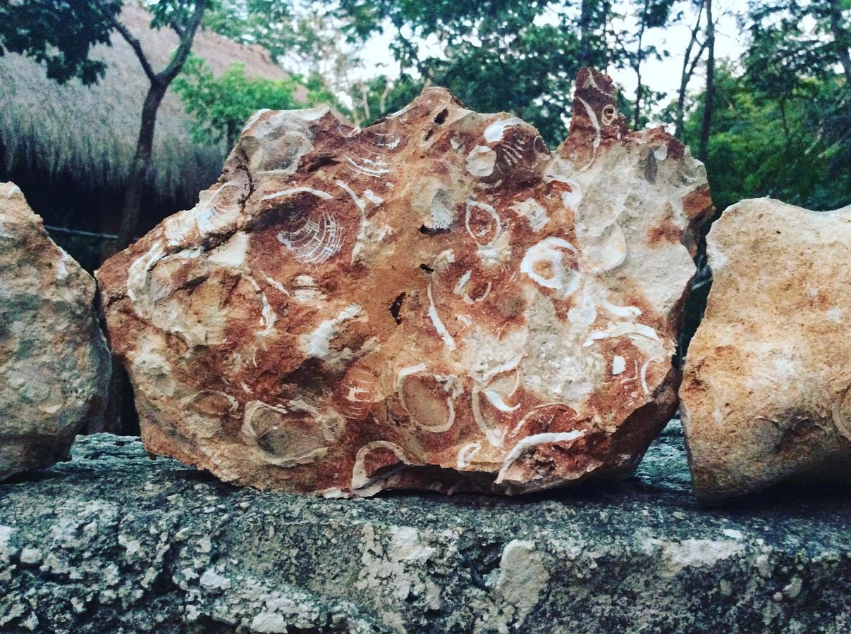 Escarabajo Rojo Panzió Tulum Kültér fotó