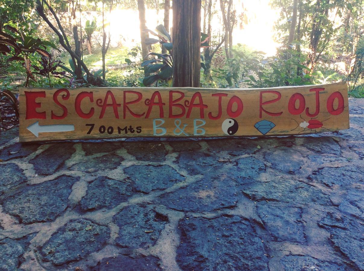 Escarabajo Rojo Panzió Tulum Kültér fotó