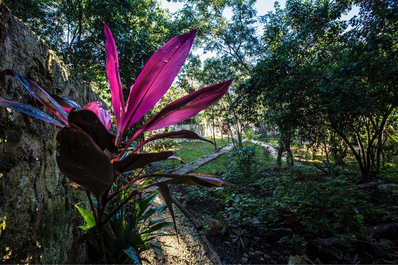 Escarabajo Rojo Panzió Tulum Kültér fotó