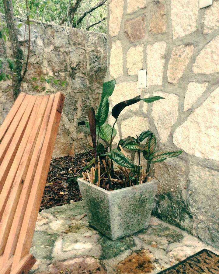 Escarabajo Rojo Panzió Tulum Kültér fotó